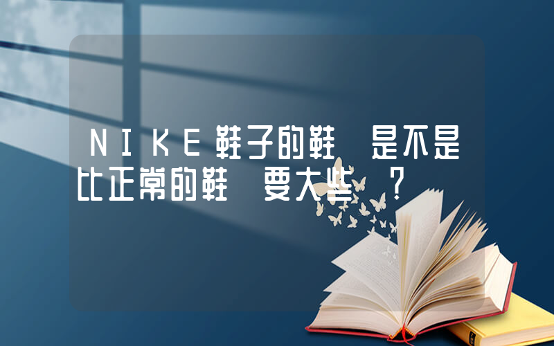 NIKE鞋子的鞋碼是不是比正常的鞋碼要大些？插圖